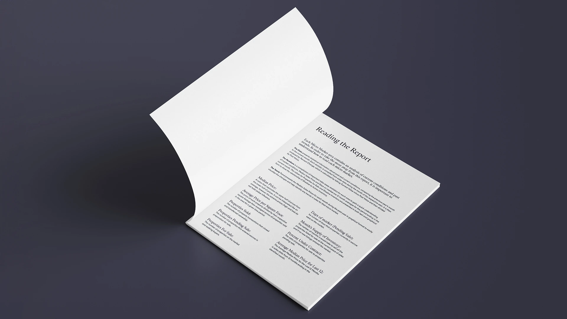 A mockup of a Micro Market Report, using the 2020 through mid-2023 design, showing the opening informational spread which has been clarified and set in appropriate Douglas Elliman brand typeset.