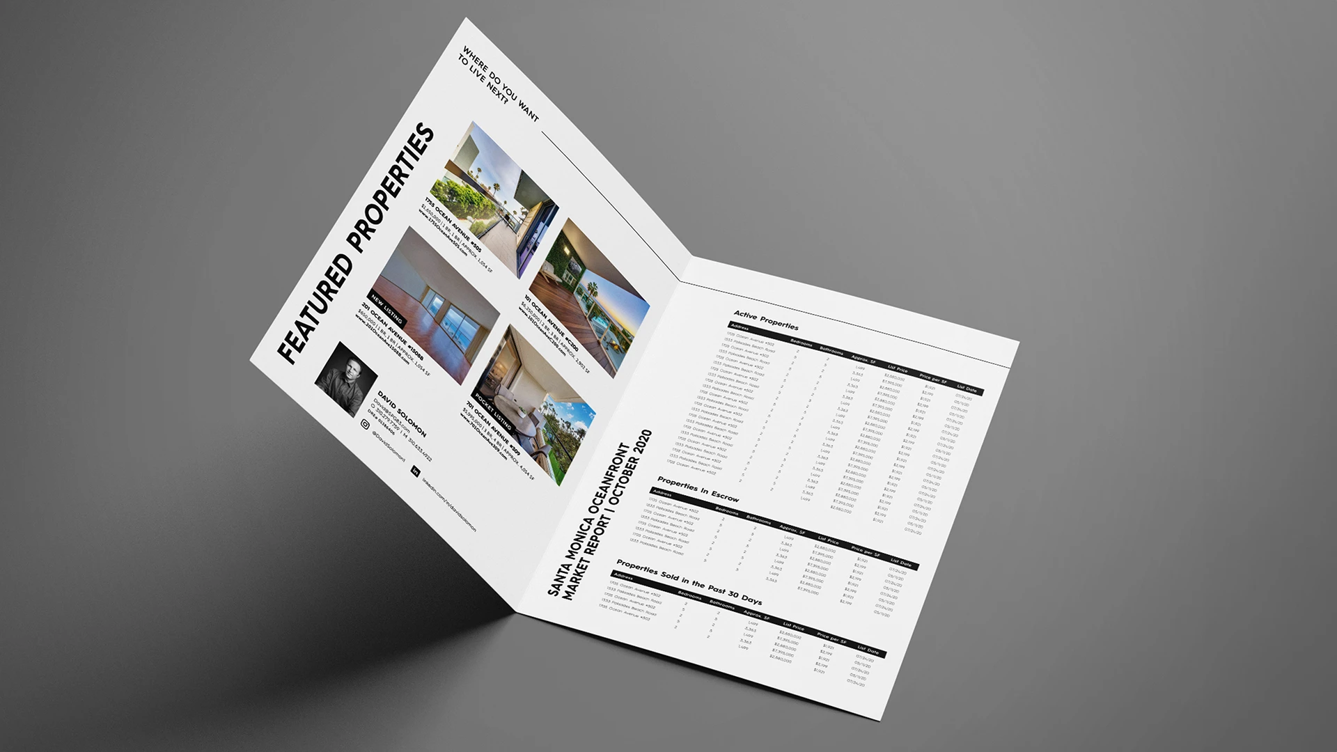 The Solomon Property Group mailable monthly market bi-fold flyer, interior spread.